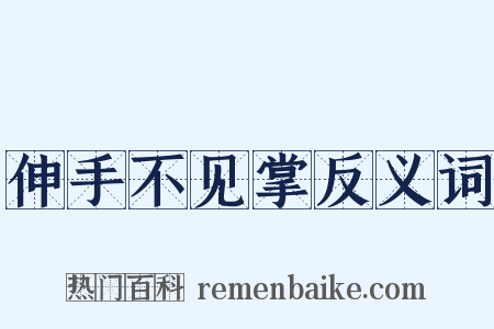 伸手不见掌反义词是什么意思的图片
